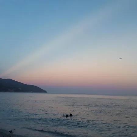 Daire Valery House *